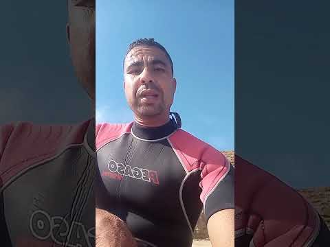 كاليت الشبكة عليك يا مولانا الكريم بحر الفوارس اكسبلور الجيلي سمك الرمال صيد  اهميه
