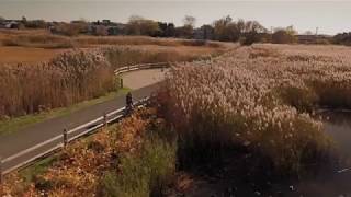 Scenes of a November in Nantucket