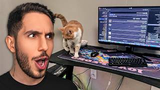 Reagindo Aos Setups Dos Inscritos 10