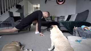 Our New Daily Routine