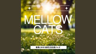 Stream Side Melodic Harmony