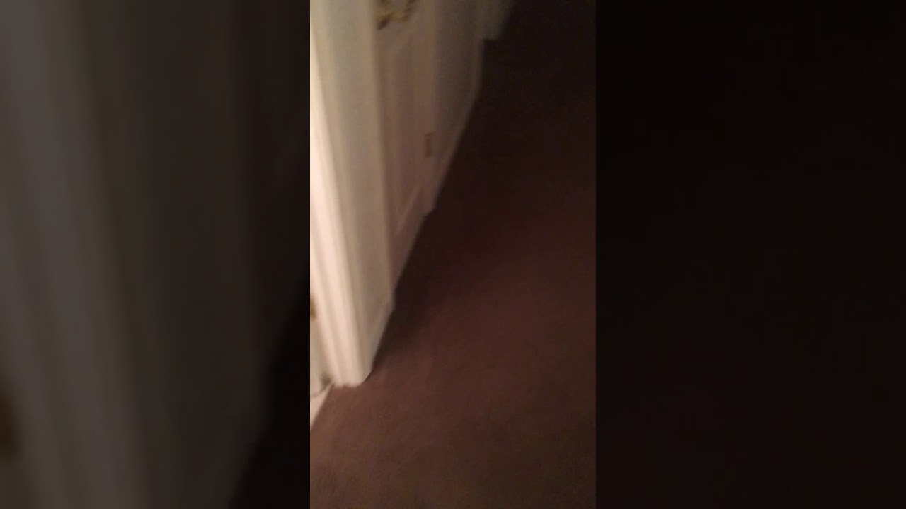 How we be rolling into Area 51