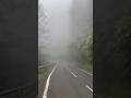 Wrapped in clouds, riding on dreams... Mussoorie feels. 🚗☁️ #mussoorie #mussorietrip #roadtrip