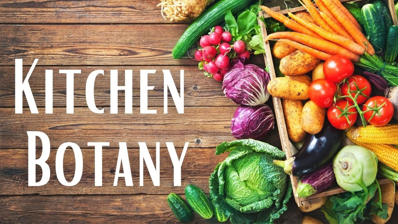Kitchen Botany YouTube