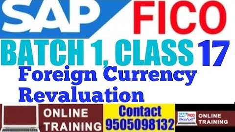 SAP FICO Batch -1|| Class - 17|| Foreign Currency Revaluation|| Purpose of FC Revaluation|| English