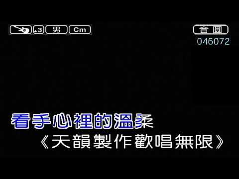 手心裡的溫柔 男調 導唱中 原調46072