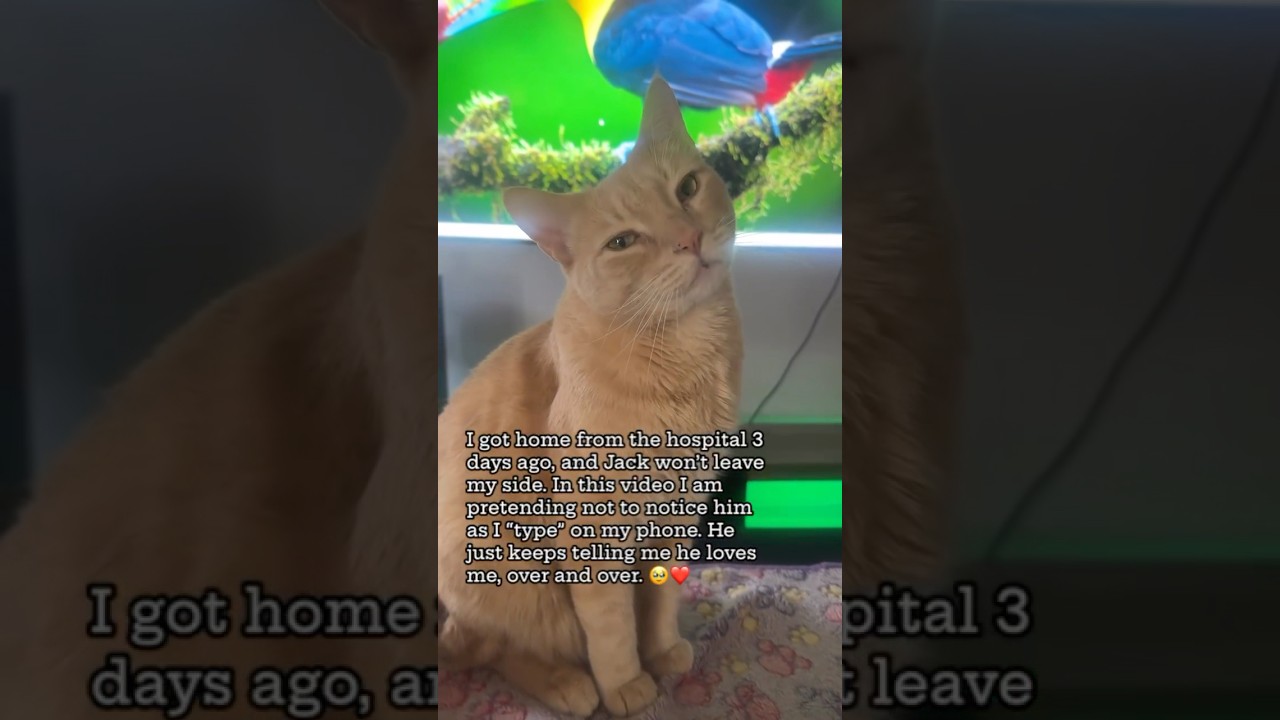 I love you too Jack. 🥹🐾 