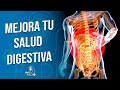 #OAFIRADIO | ¿CÓMO MEJORAR NUESTRA SALUD DIGESTIVA?