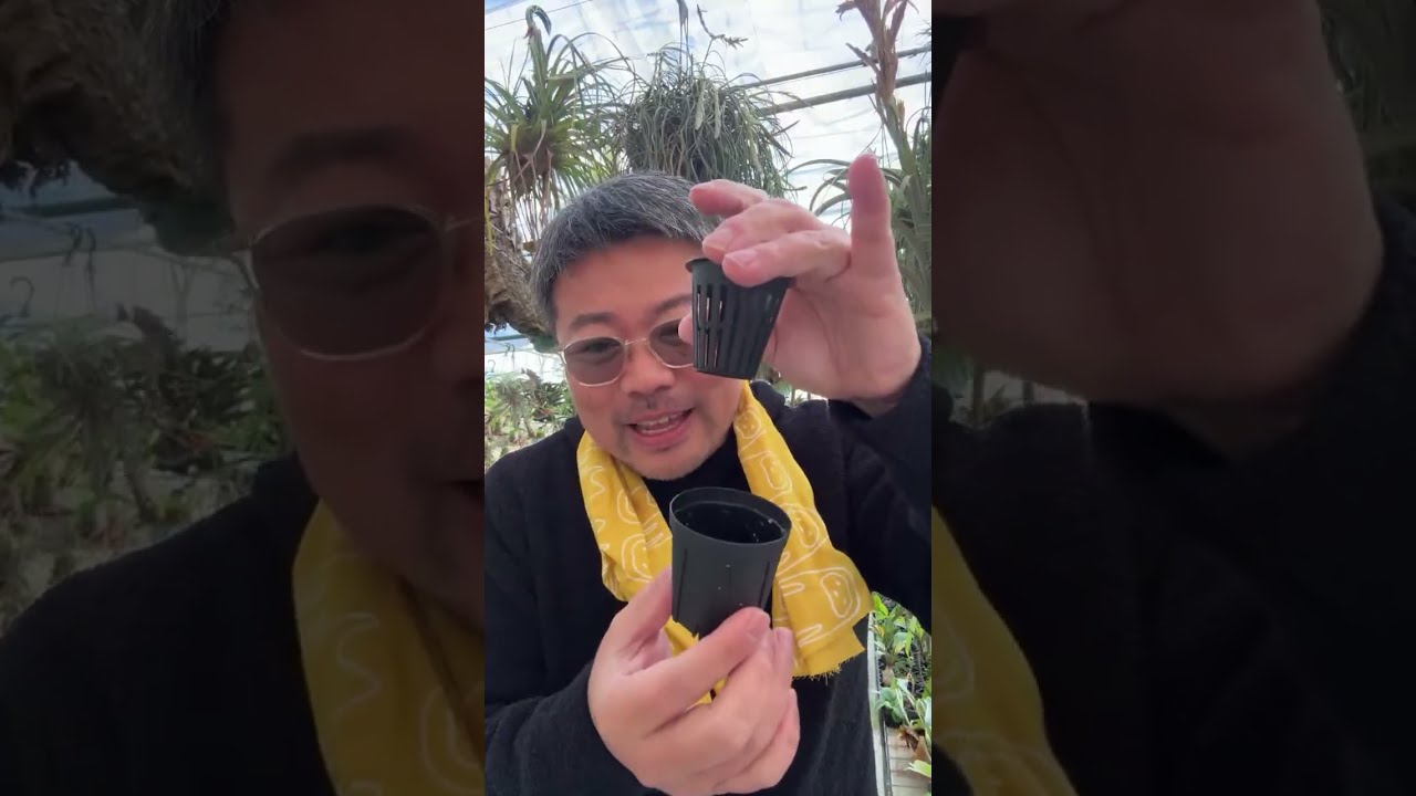 植物に関して憶測でしゃべるとろくなことがない話 - YouTube