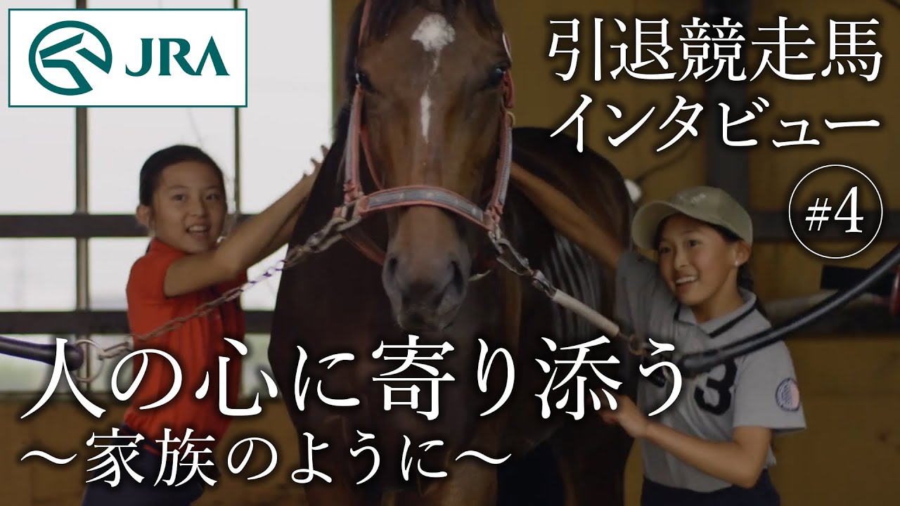 引退競走馬インタビュー 4 人の心に寄り添う 家族のように Jra公式 Youtube 引退競走馬インタビュー 4 人の心に寄り添う 家族のように Jra公式 Youtube