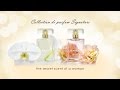 Isabella garcia signature scent collection animation