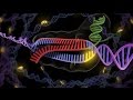 Conferencia sobre las terapias génicas, con una introducción a las técnicas CRISPR