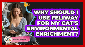 Why Should I Use Feliway For My Cat