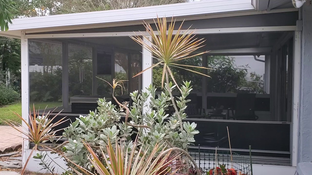 Back yard 2 - YouTube