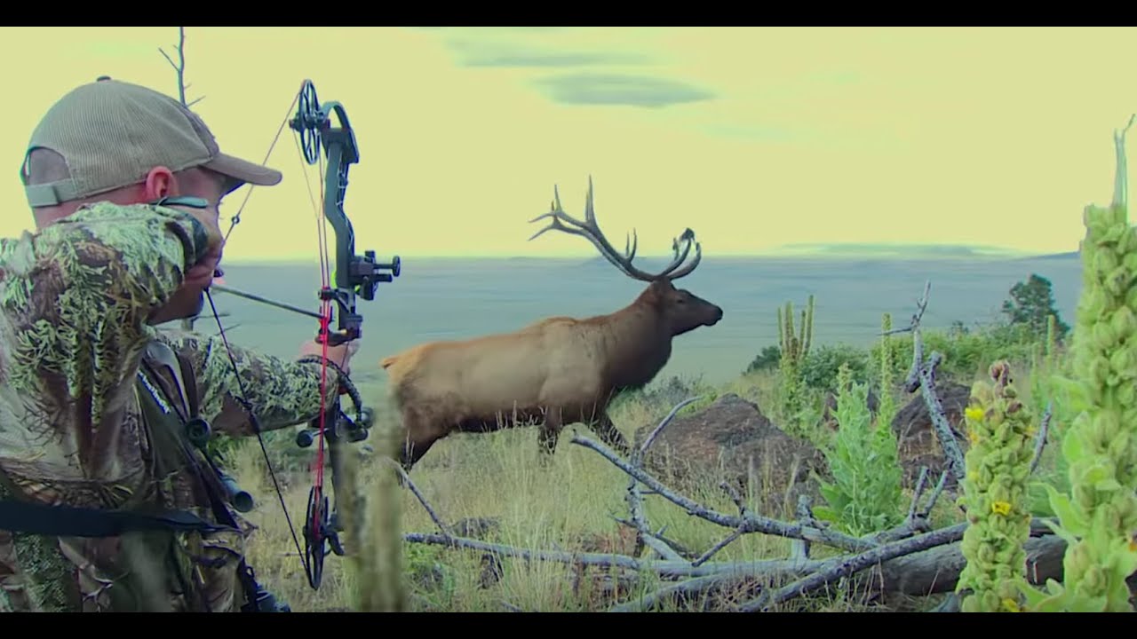 Brad Farris Hunting and Calling Big New Mexico Elk in the