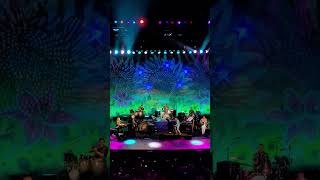 Down Under. Ringo Starr and his All Starr Band. Auditorio Nacional. 5 de junio 2024