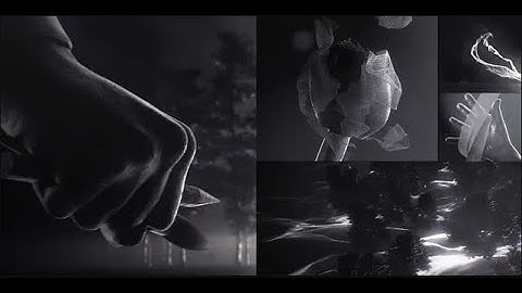 IAMAG Master Classes 