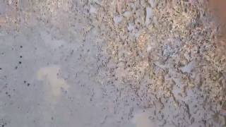 WP 20160616 13 07 36 Pro
