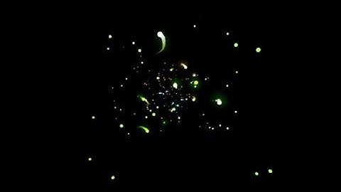 Multicolored Fireflies Visual Effect | Background Motion | Free Footage