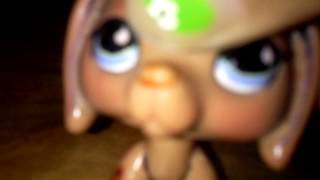 CAM00813.mp4