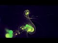 Fluid Simulation Abstract ✨ | 4-Hour Abstract Ambient Loop | Calm Veritas