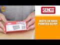 Bandes de clous de 50 mm ttes hommes galvanises ax  senco