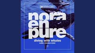 Diving with Whales (Daniel Portman Remix)
