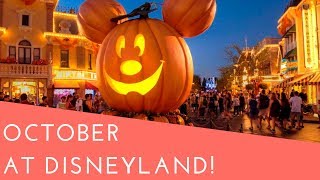 ... ! i've been thinking long and hard about my plans for upcoming
october disneyland trip! we have 2 days a lot to do...