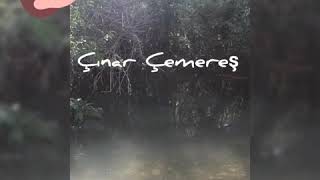 Diyarbakır çemereş