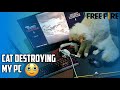 CAT DESTROYING MY PC 😂 HE IS REALLY FAST 😬 GARENA FREE FIRE