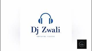 Dj Zwali - Gibel'SiyeCaweni!
