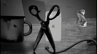 Inanimate objects