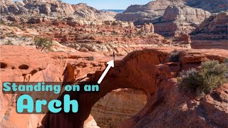 cassidy arch capitol reef