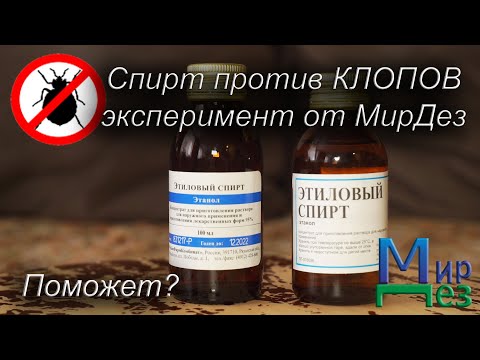 Спирт против клопов