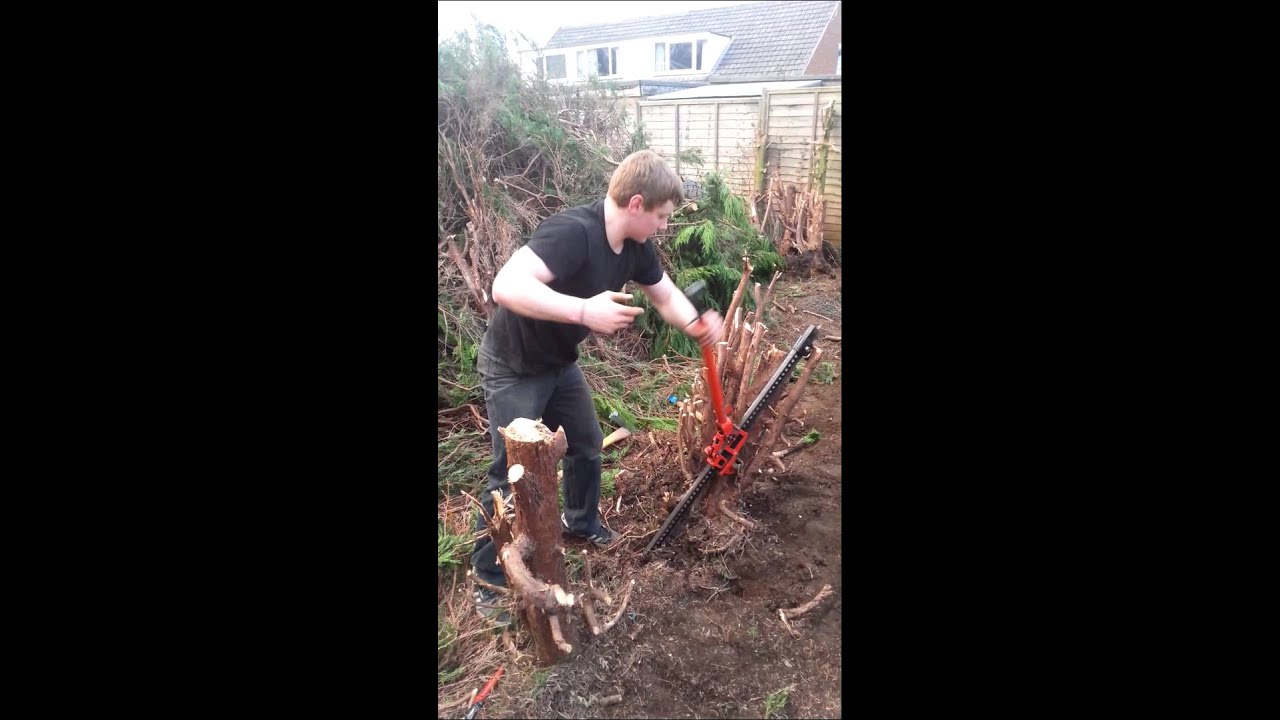Jack for tree stump removal, 78006 Boerne TX