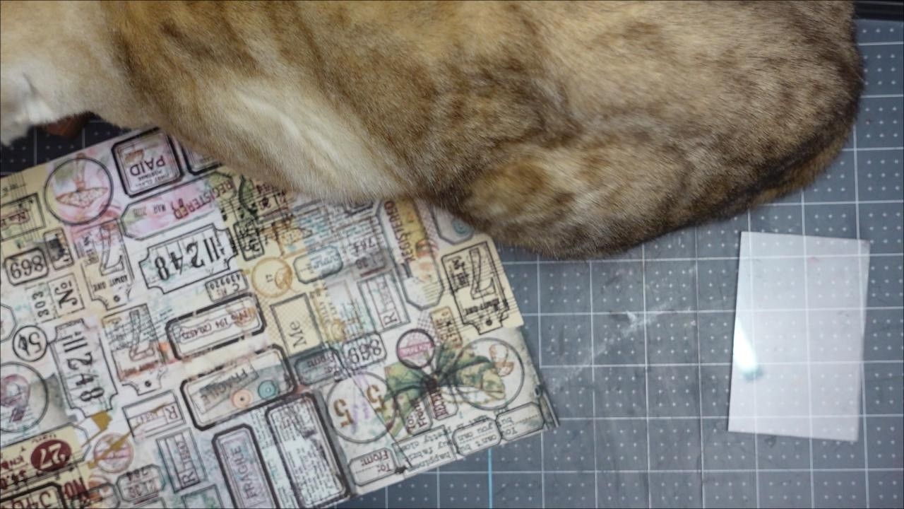 Массовое производство небольших лейблов начнётся в марте 2026 года.