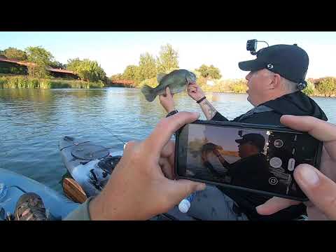 Losing a Good Fish...