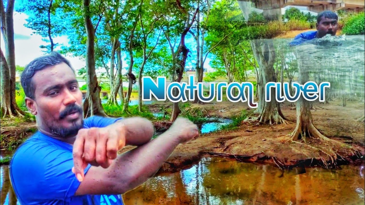 சேரன்மகாதேவி ஆறு | Cheranmakhadevi River | natural palce | Shengai sharif