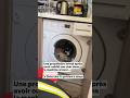 Une propriétaire de chat arreté après avoir oublié son chat a de sa machine a laver...#chat