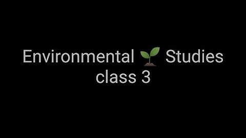 🏠14 Storing and Saving water #class3 #dps #evs