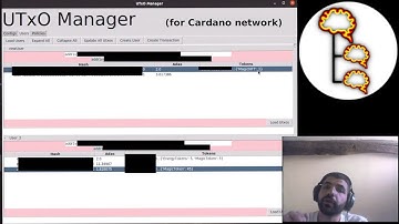 Cardano UTxO Manager