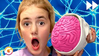 Bailey Ballinger Finds Out How Brains Work