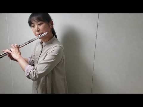 【フルート】廻廻奇譚(Eve)【演奏】
