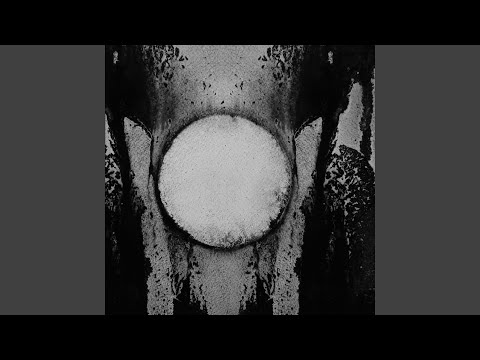 Putar Perfect Circles - Carlos Cipa