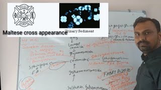 Lipid Storage Disorders | Lipid storage diseases | Sphingolipidosis