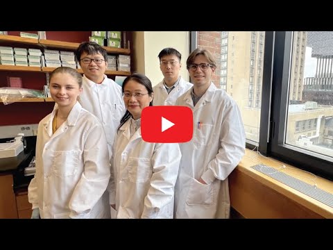 Liang Hao PhD,  Boston University Biomedical Engineering