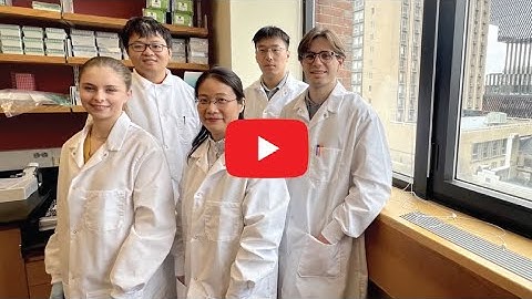 Liang Hao PhD,  Boston University Biomedical Engineering