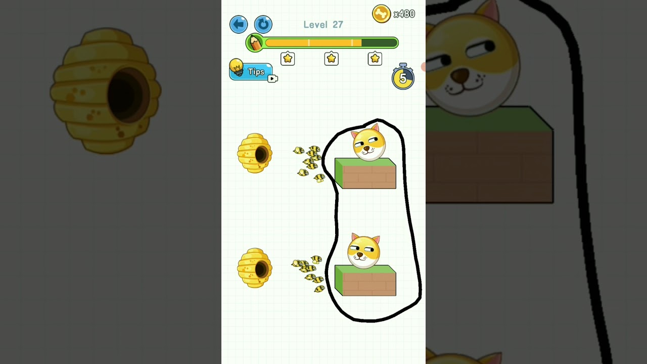 save the doge wonder group 27  Level 😭😭😭 