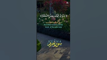 تلاوة خاشعة للشيخ عبدالباسط #اكسبلور #المصحف #الرحمن #راحة_نفسية #لايك متابعة