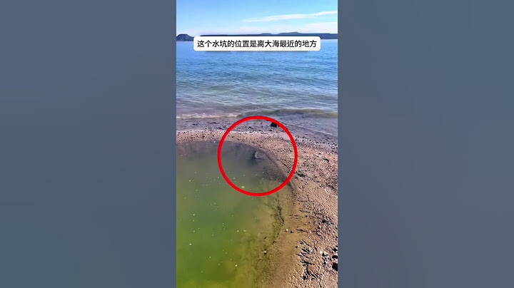 拍到山海經真實的一幕，山海經裏的魚，震驚了世界。